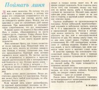 Линь.jpg