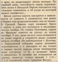Карп по Сабанееву 5.jpg