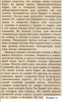 Карп (продолжение 2).jpg