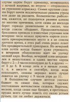 Карп (продолжение 4).jpg