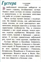 Густера.jpg