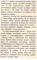 Густера 2.jpg