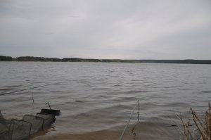 DSC_1328.JPG