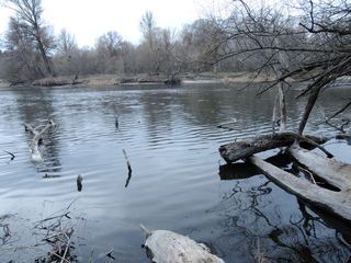 Краткий курс фотографии для рыболовов. Обработка. Кадрирование, обрезка, компоновка