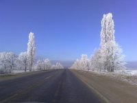 Декабрь.Харьков.Окружная. 22.12.jpg