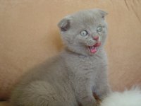 DSC00976.JPG