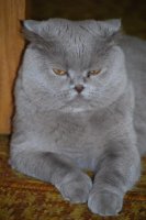 DSC_0233.jpg