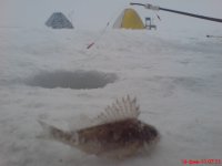 Почин 14.02.10..JPG