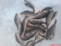 Улов 14.02.10..JPG
