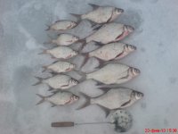 Улов 22.02.10.JPG