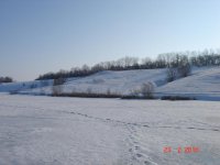 10.JPG