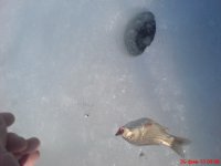 DSC00009.JPG
