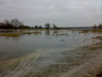 250320101841.jpg