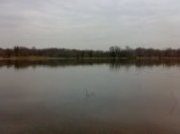 250320101865.jpg