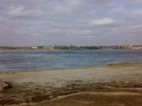 280320101869.jpg