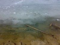 280320101871.jpg