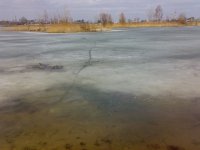 280320101873.jpg