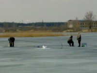 280320101875.jpg