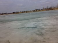 280320101876.jpg