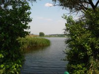 Левковка (2).jpg