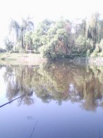 IMG0031A.jpg