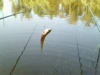 IMG0033A.jpg