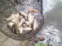 IMG0034A.jpg