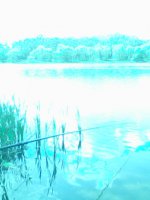 IMG0041A.jpg