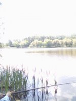IMG0043B.jpg