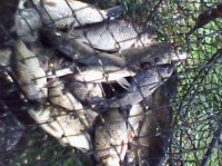 IMG0038A.jpg