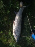 22052011118.jpg
