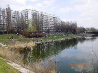 IMGP0440.JPG