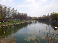 IMGP0441.JPG