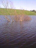 IMG0200A.jpg