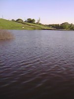 IMG0201A.jpg