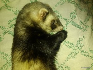 IMG_20160118_212922.jpg