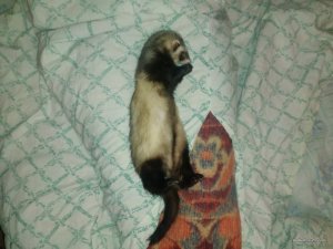 IMG_20160118_213053.jpg