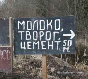 tvorog.jpg