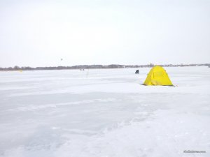 IMG_20160120_125931.jpg