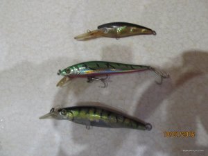 IMG_0464.JPG