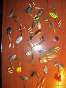 IMG_0488.JPG