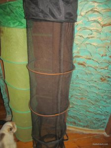 IMG_0491.JPG