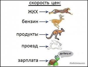 3456789098765456876.jpg