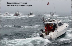 IVA23.jpg