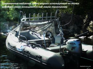 IVA29.jpg