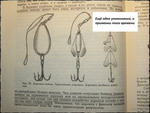 IVA21.jpg