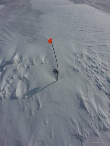 20160120_102813.jpg