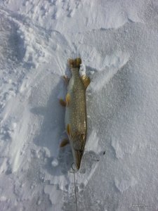 20160120_103213.jpg