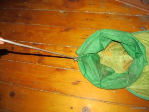 IMG_0497[2].JPG