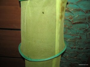 IMG_0499[2].JPG